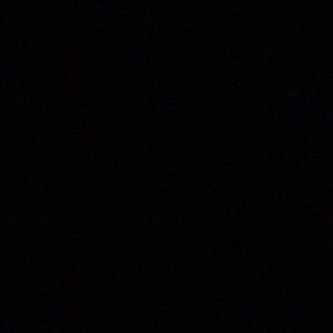 Meet your Posher, Reese